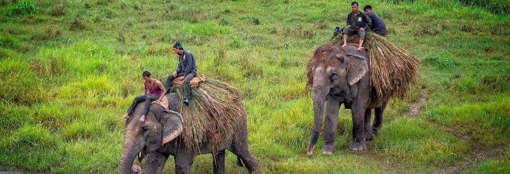 Kathmandu - Pokhara - Chitwan Sightseeing